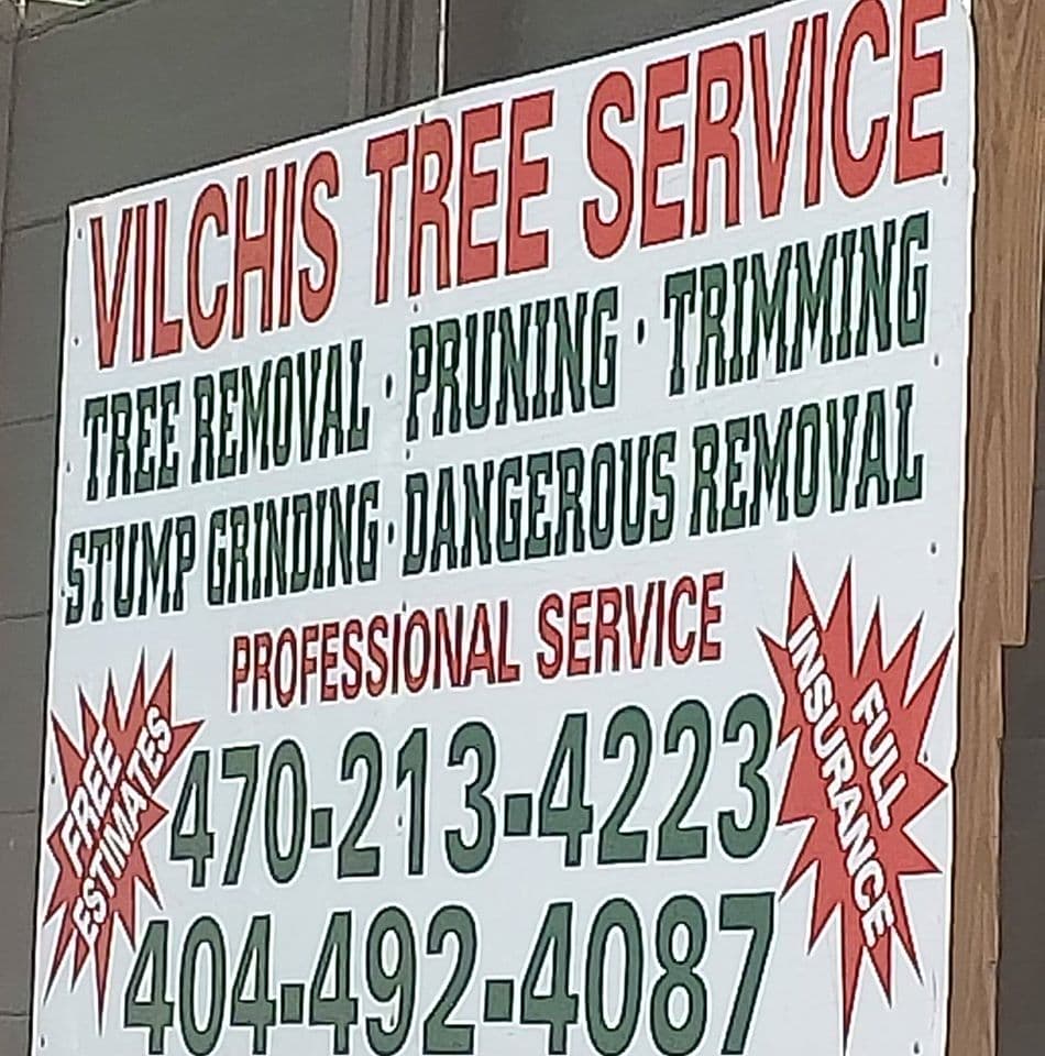 Vilchis Tree Service