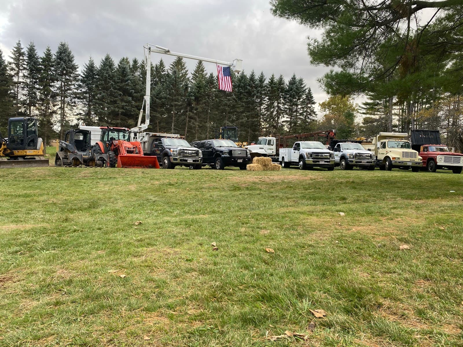 Greensite Tree & Land