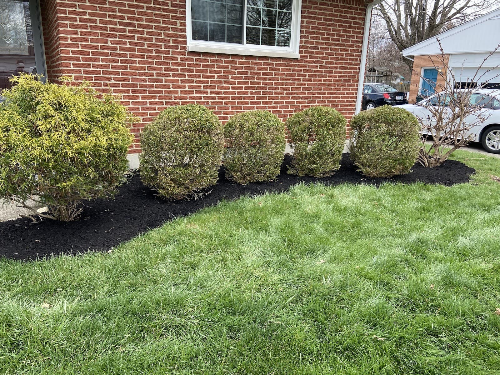 Petrey and Sons LLC.