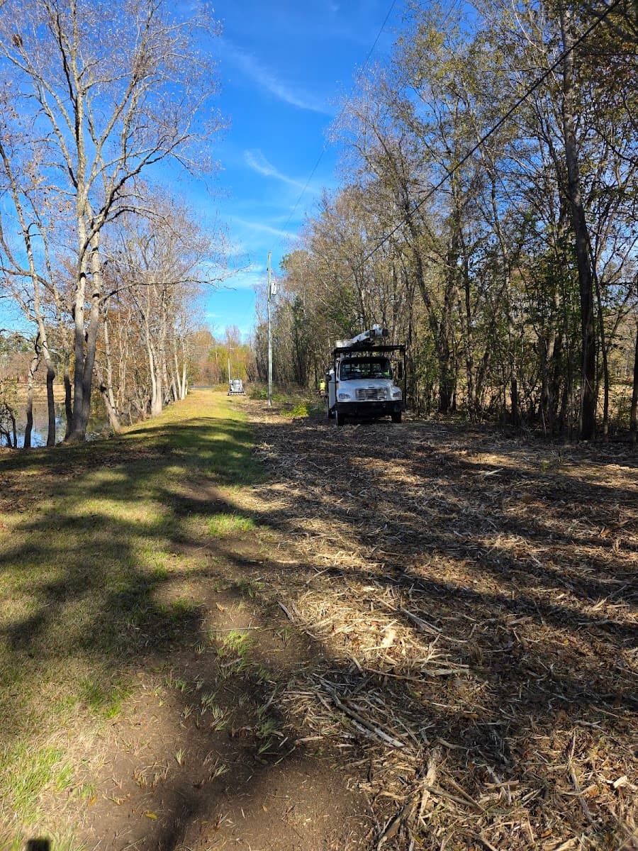 Trimmer Up Tree Service LLC