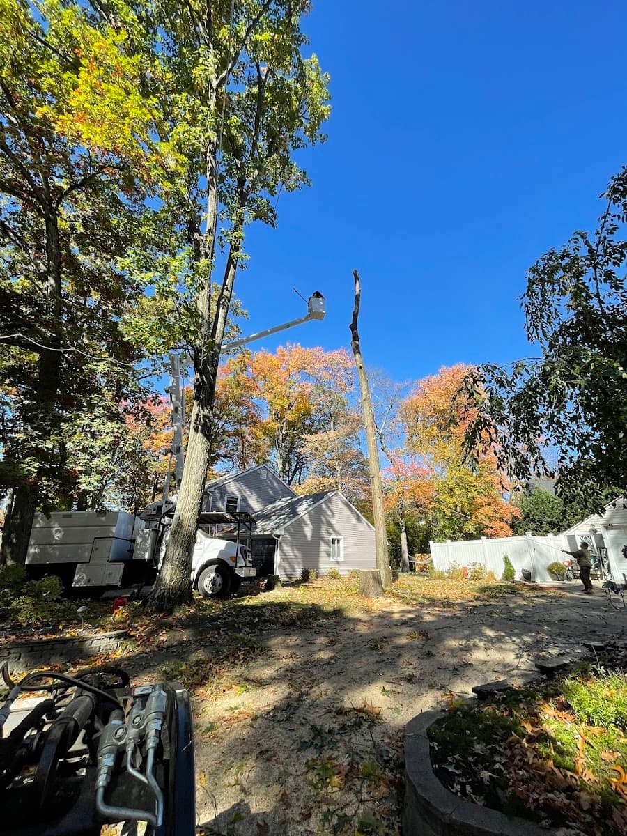 Prate's Tree Service