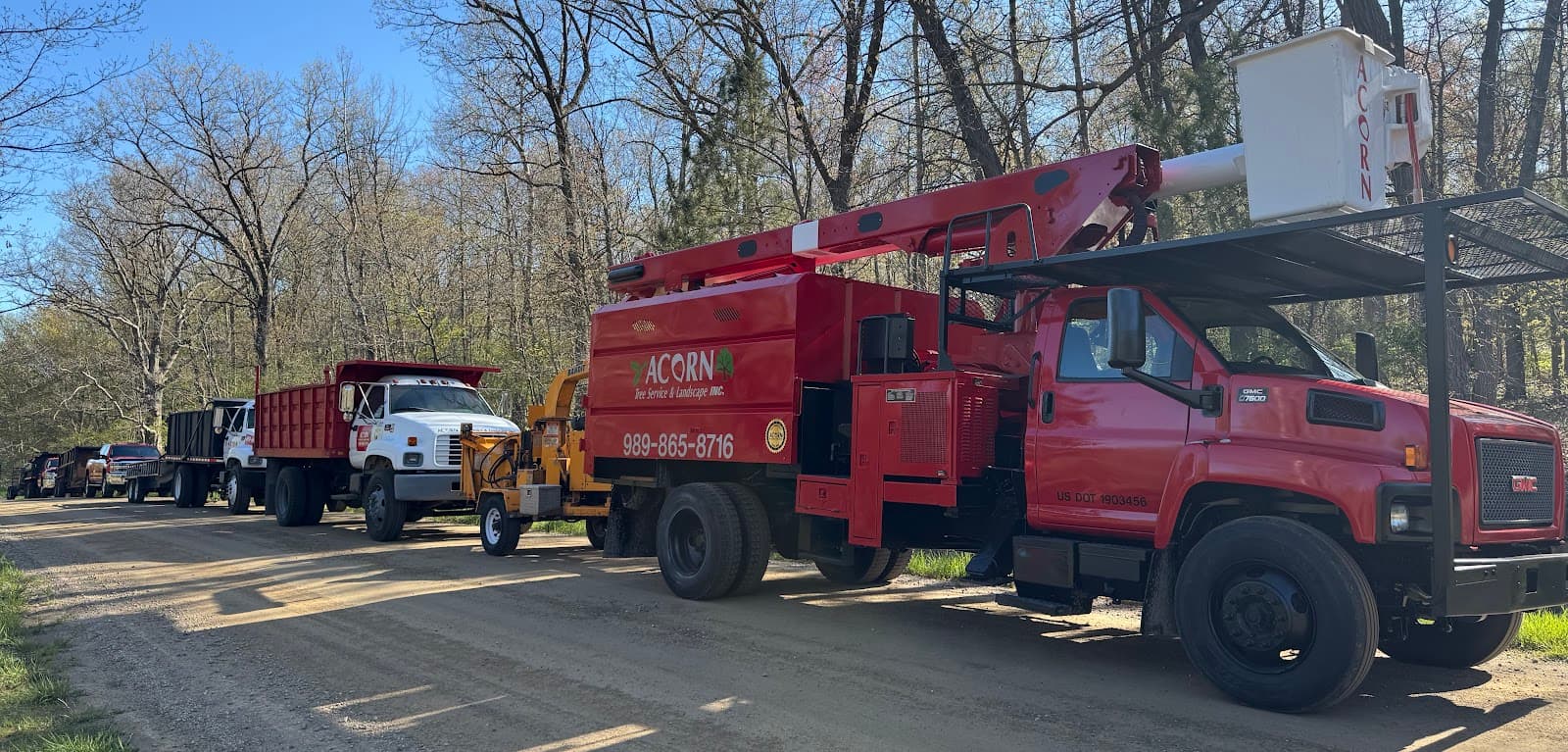 Acorn Tree Service & Landscape Inc.