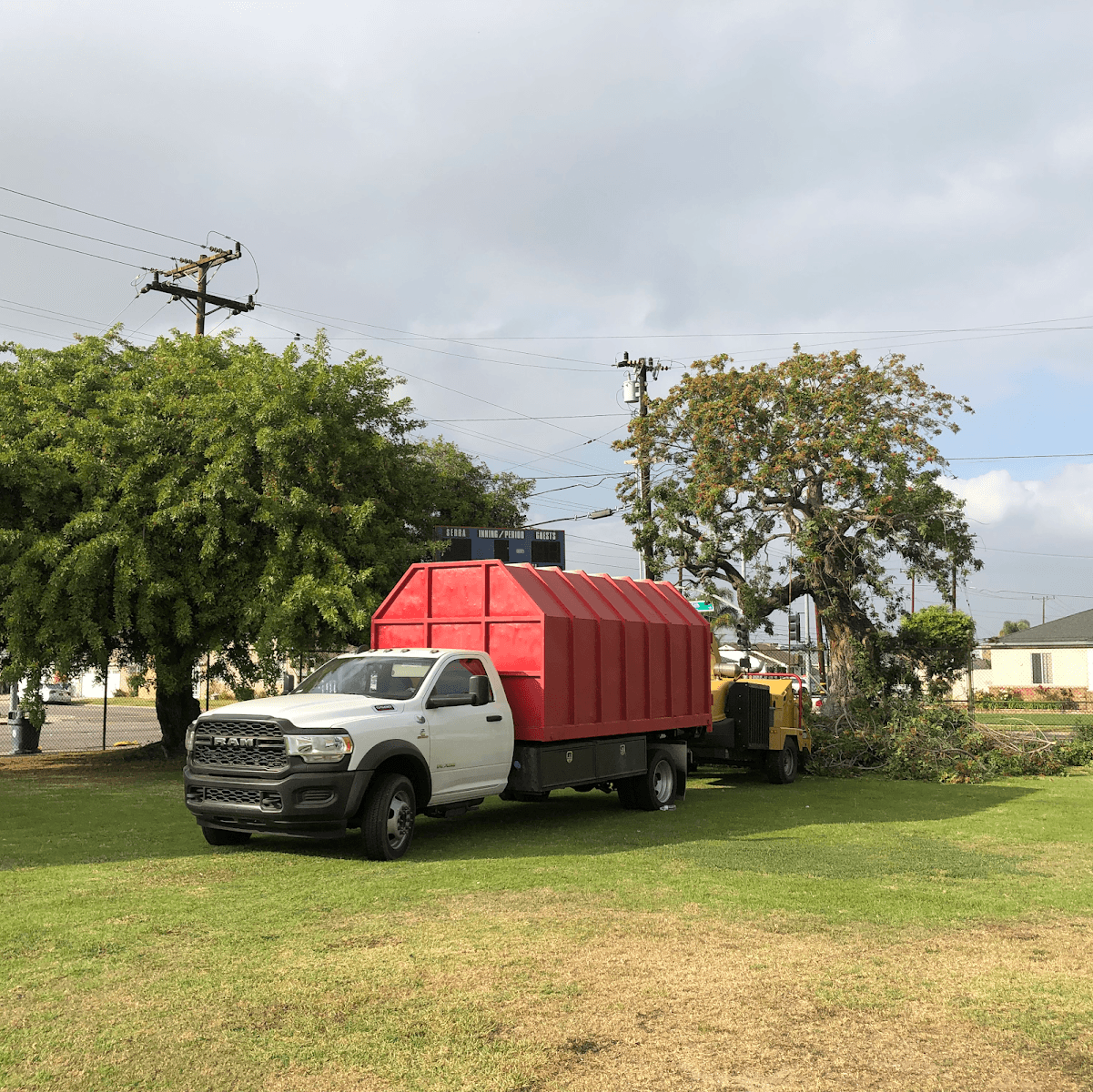 Sapwood Tree Care & Landscape