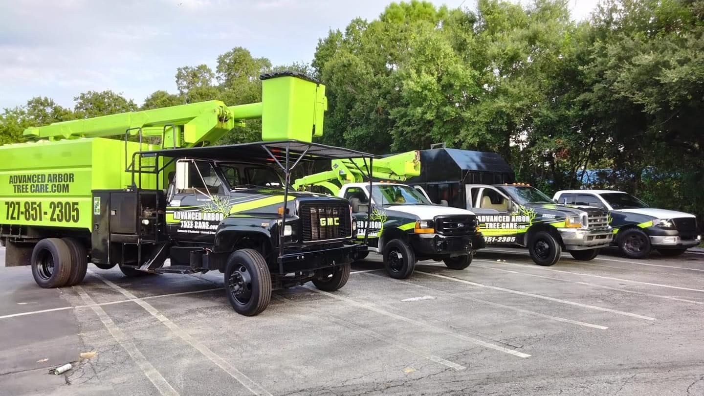 Advanced Arbor Professional Tree Care