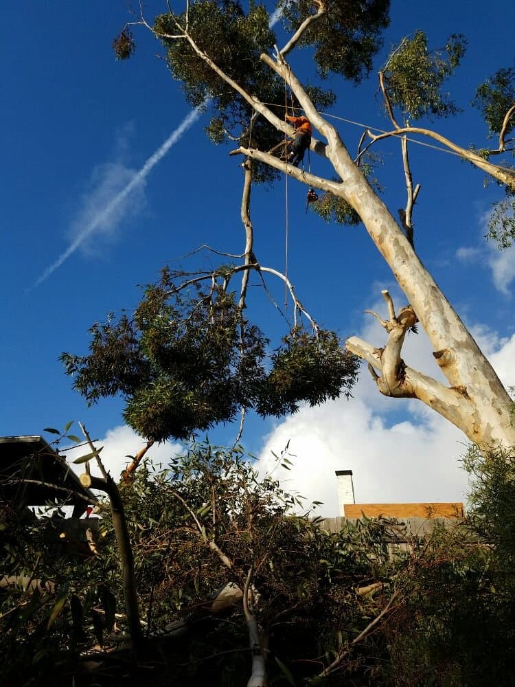 Charles Tree Service