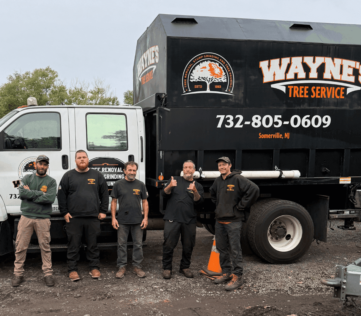 Wayne's Tree Service
