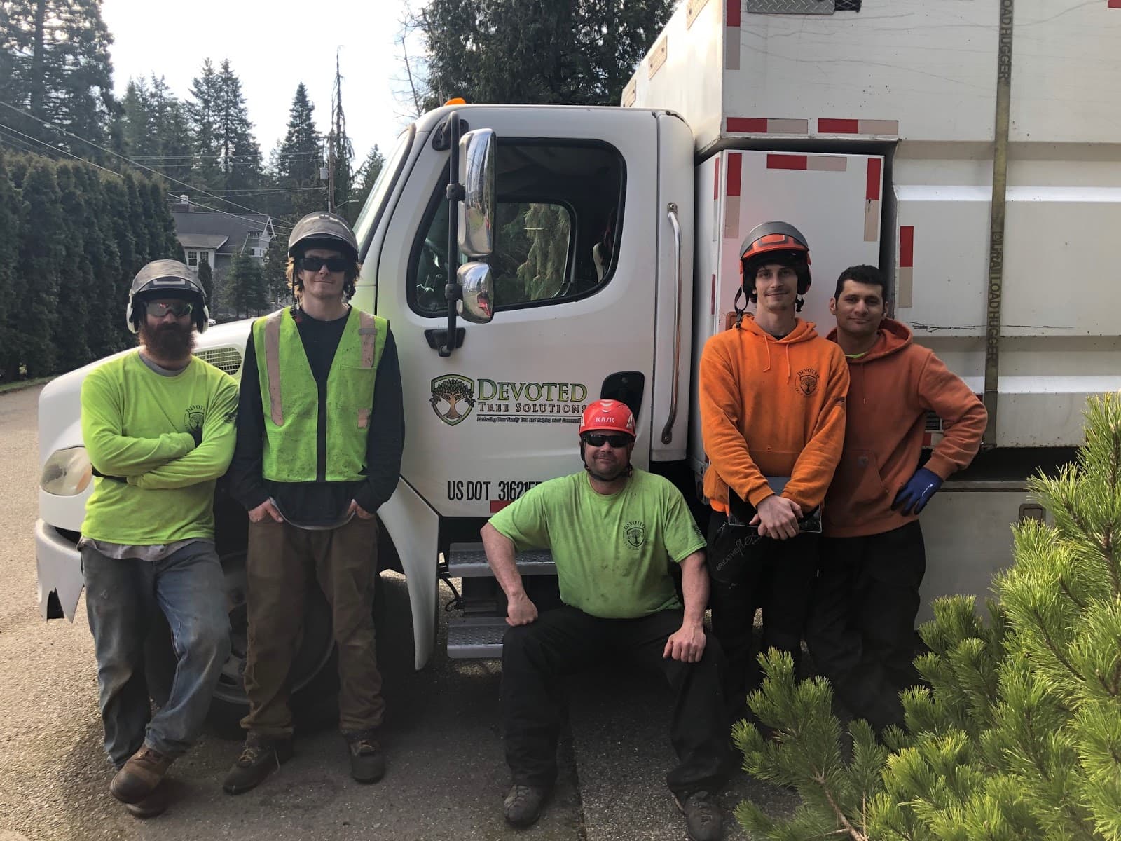 Devoted Tree Solutions