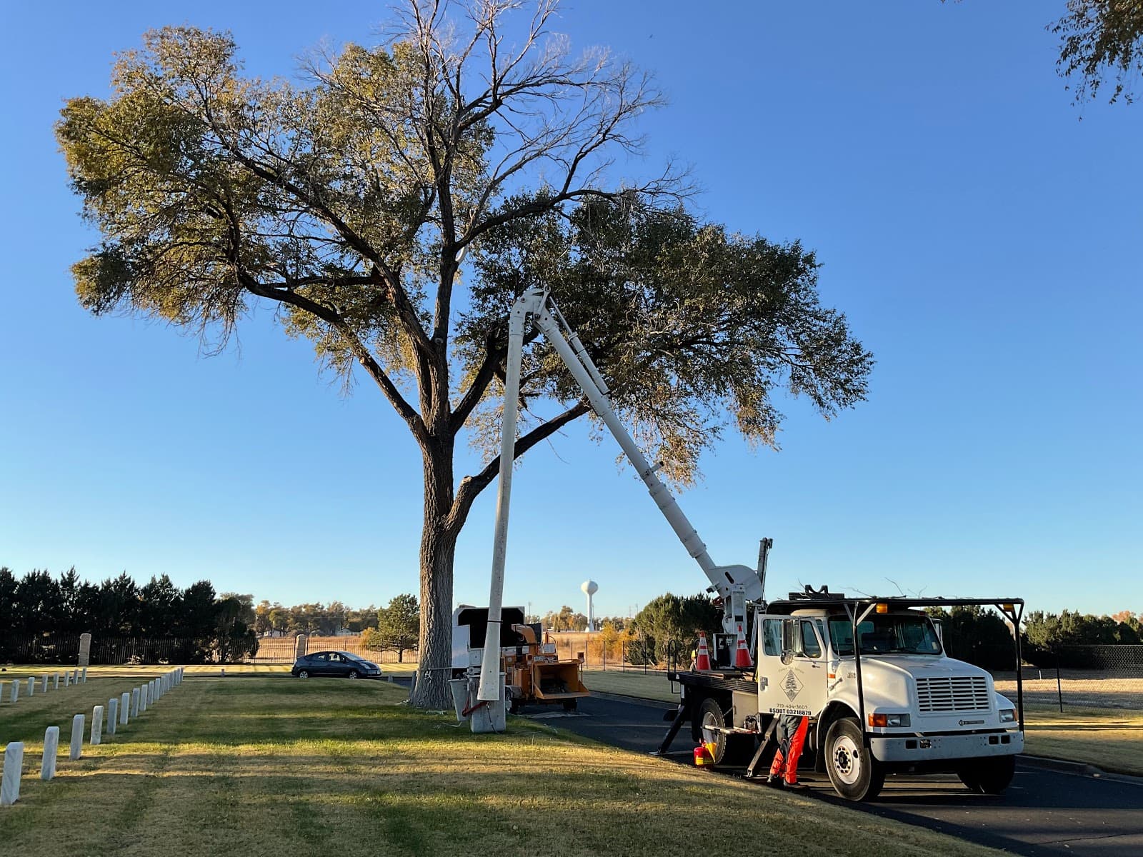 Forrest Tree Service, LLC