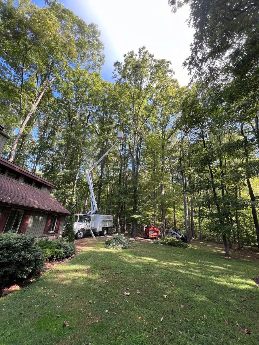 El Perico Tree Service & Lawn Care, LLC