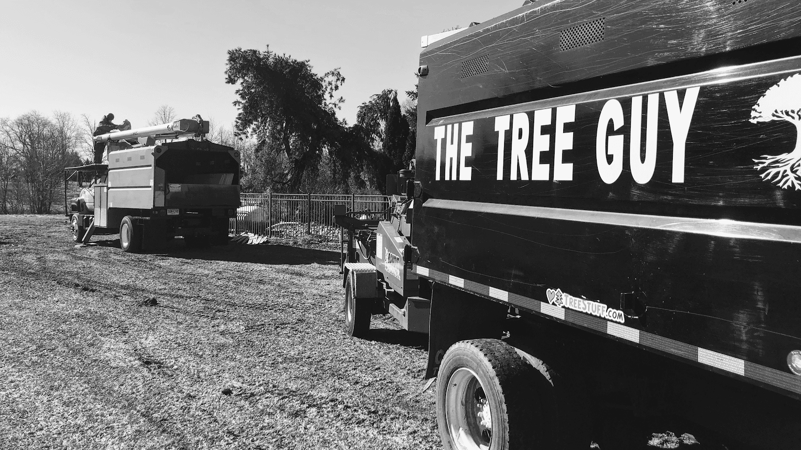 The Tree Guy LLC