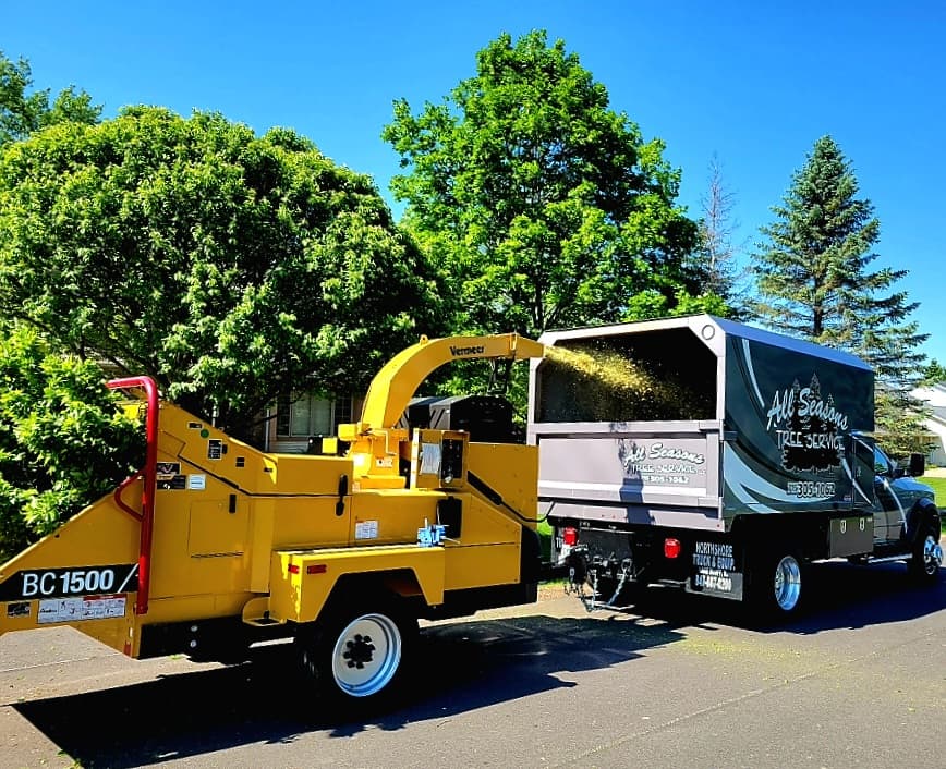 All Seasons Tree Service LLC - Marshfield