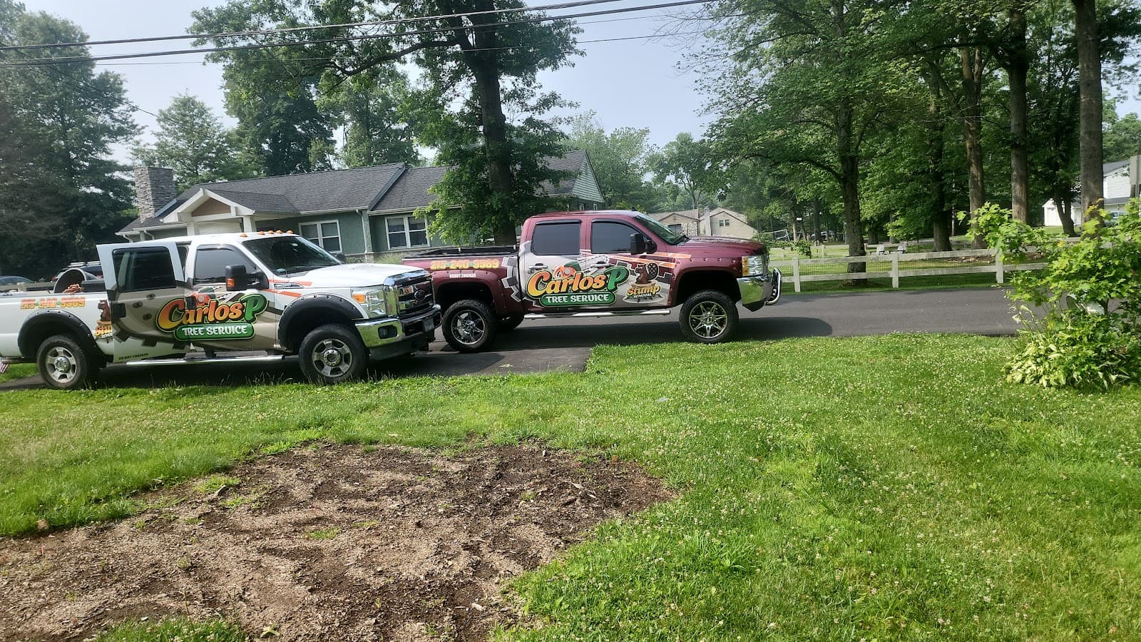 Carlos P Tree Service LLC
