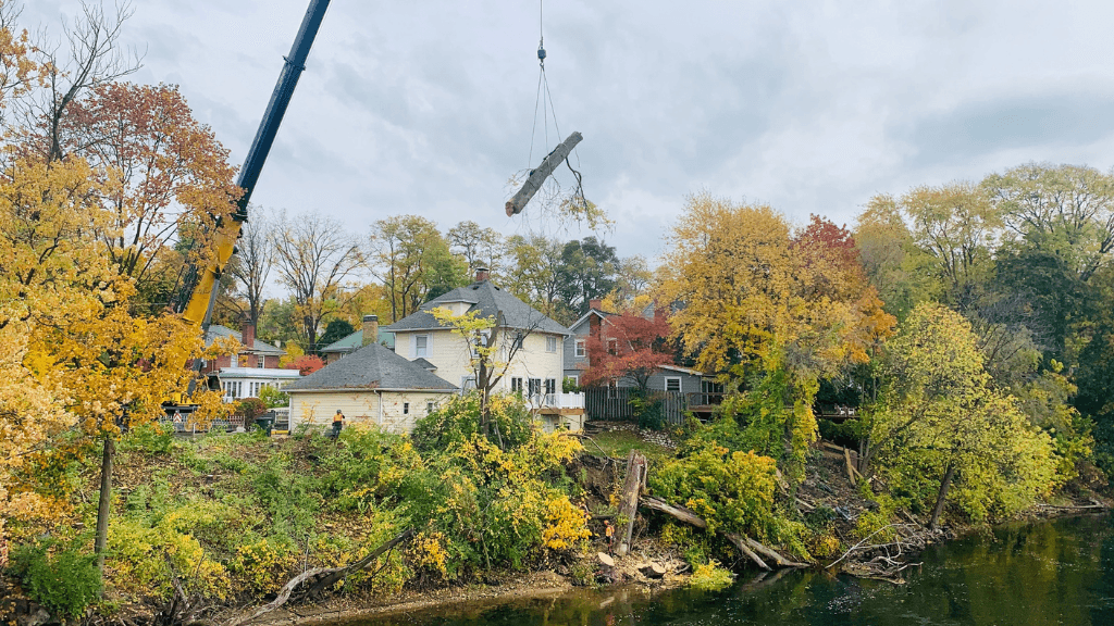 Higher Ground Tree Care