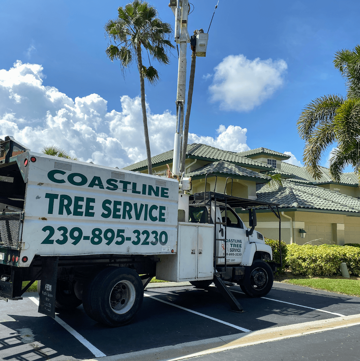 Coastline Tree Service