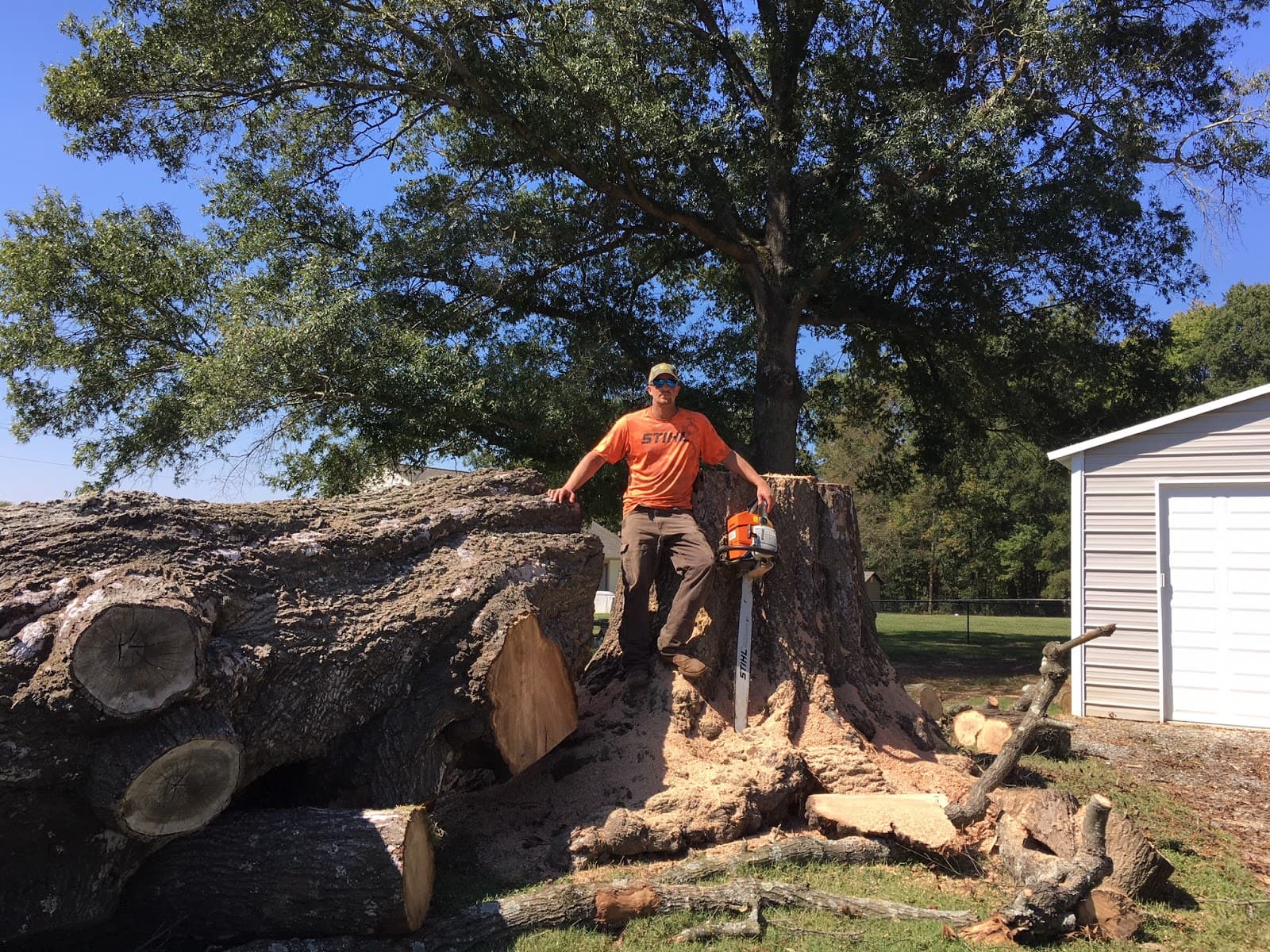 J.R. Morgan Tree Service, LLC