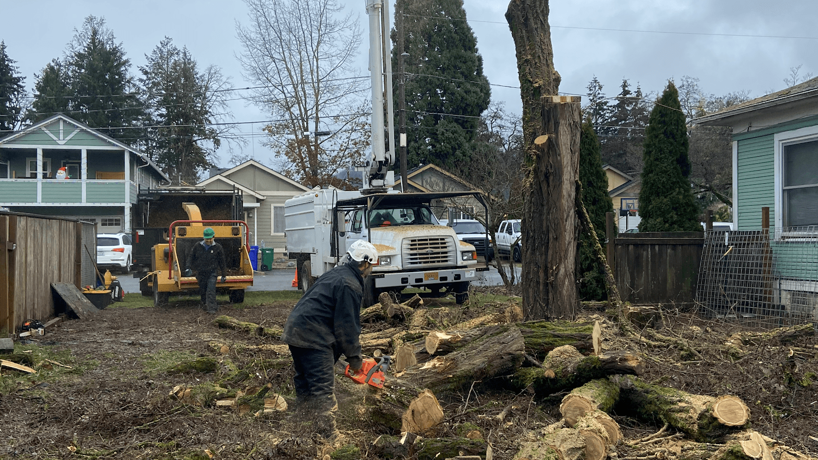 Second 2 None Tree Service