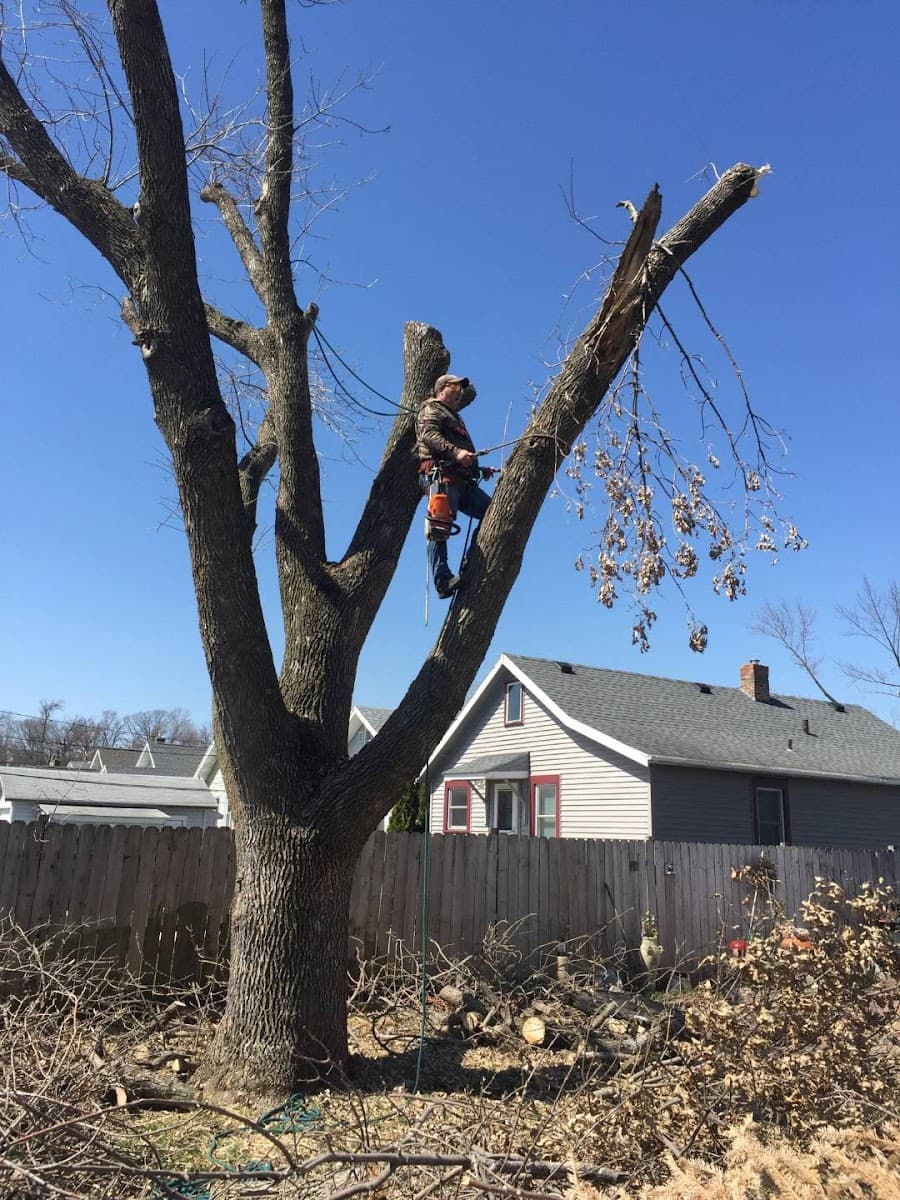 Allens Tree Service