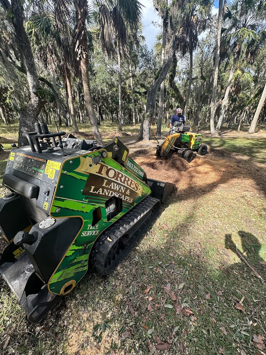 Torres Tree & Landscape LLC