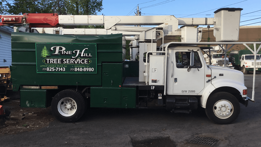 Pine Hill Tree Services LLC