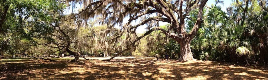 Advanced Tree Care Inc