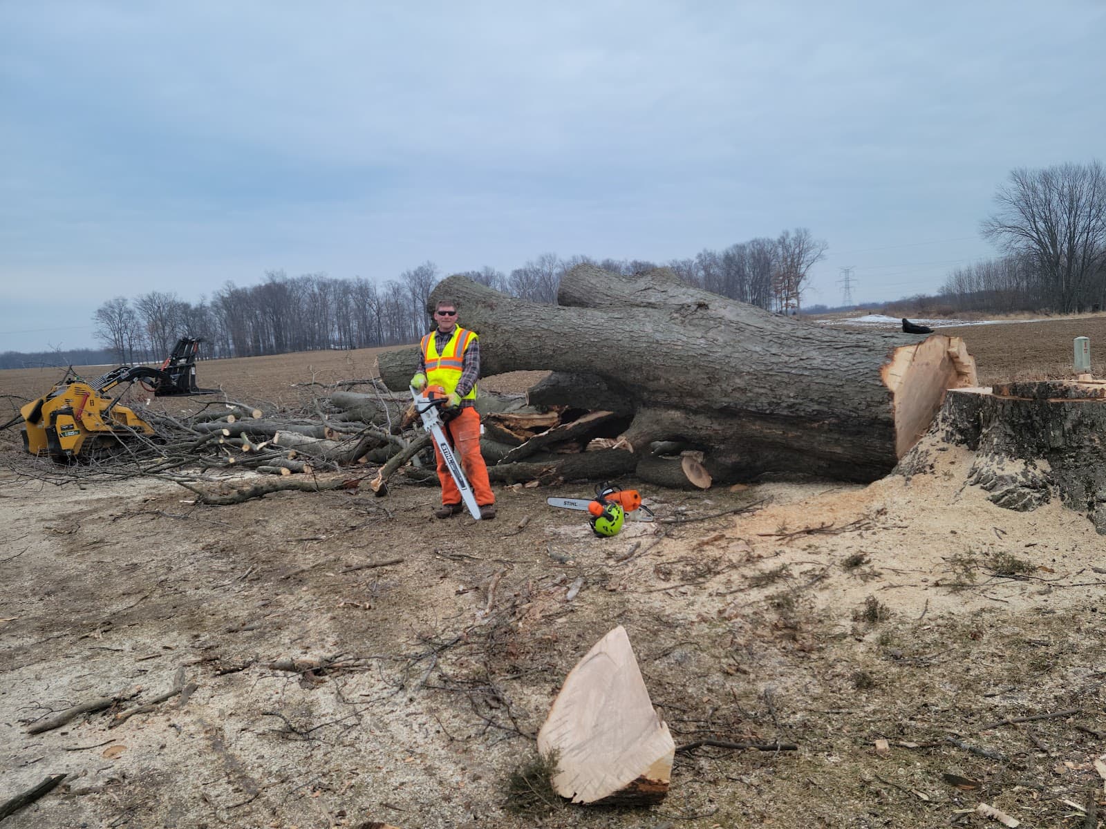 Arb Tech Tree Services