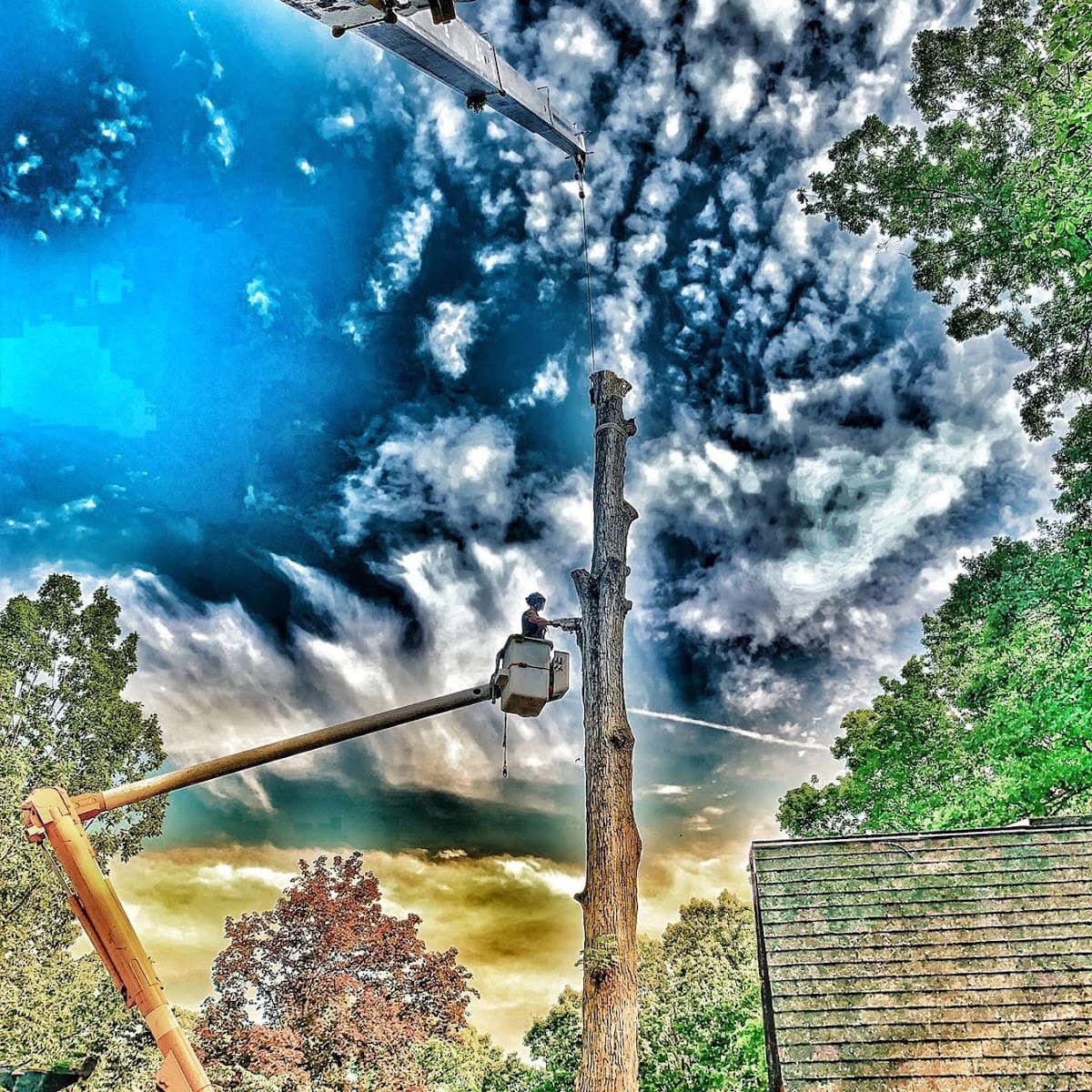 Howard Tree Care LLC