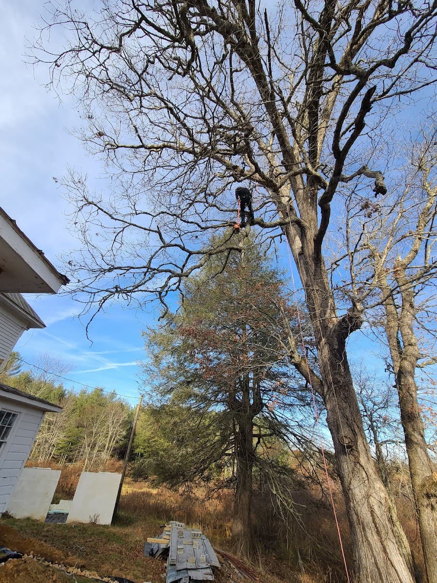 Mcfarland Tree Care LLC