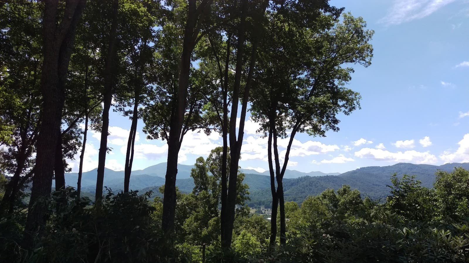 Clear View Tree Services LLC