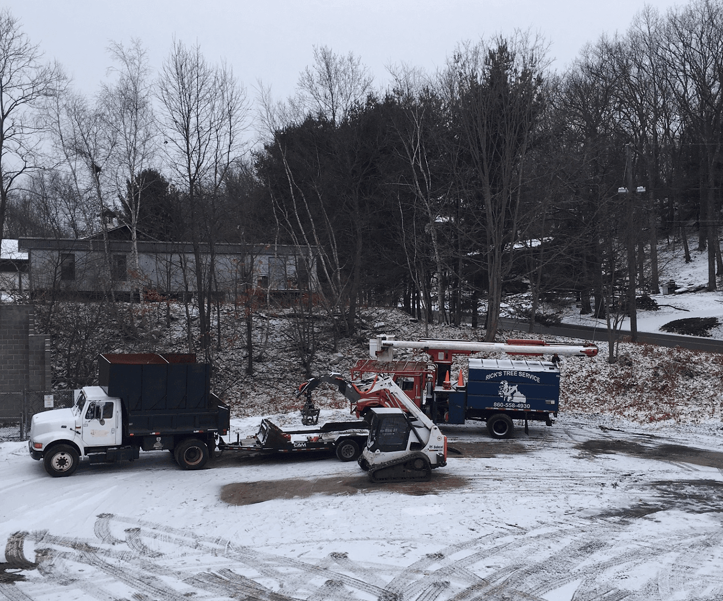 Rick's Tree Service LLC