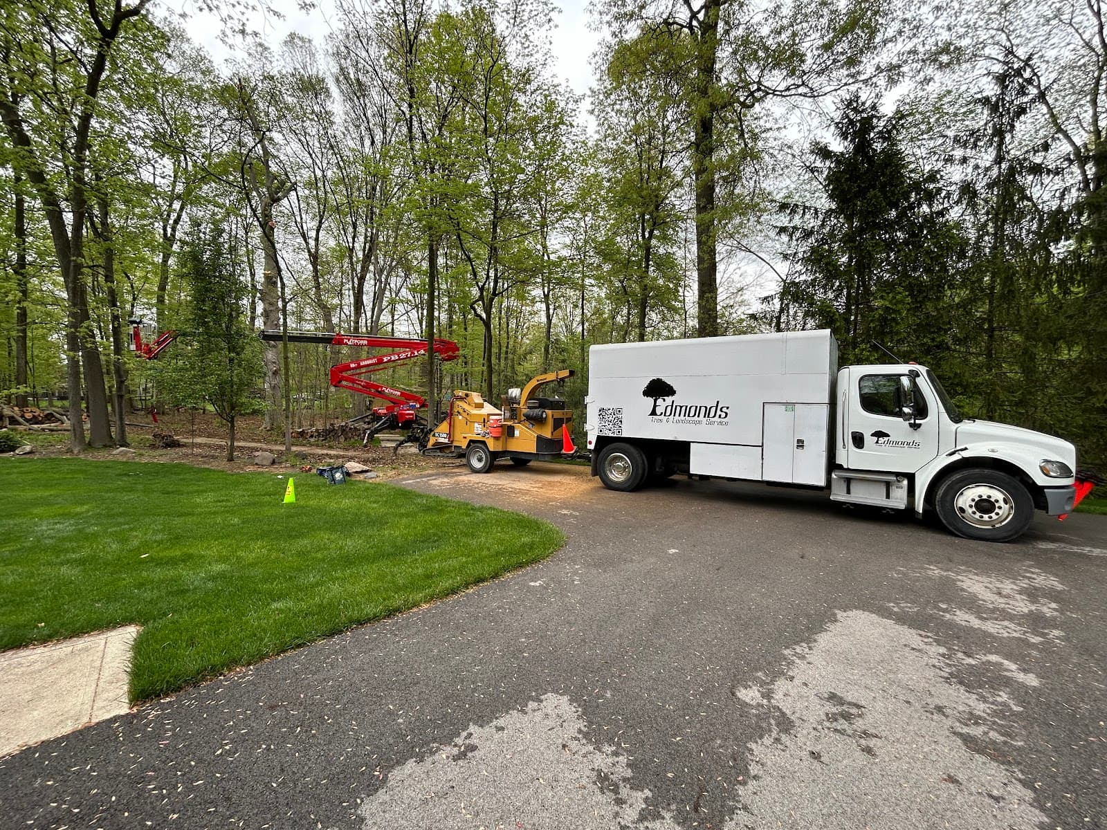 Edmonds Tree & Landscape Service