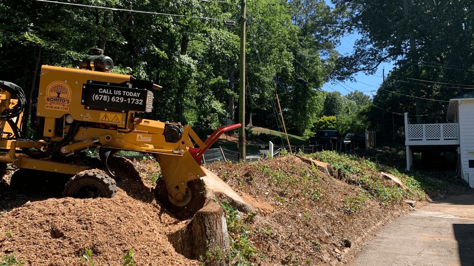 Ronito's Tree Service Llc