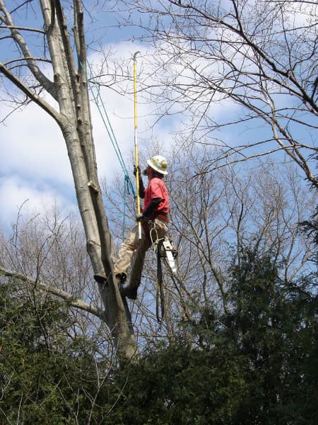 Hathaway Tree Service