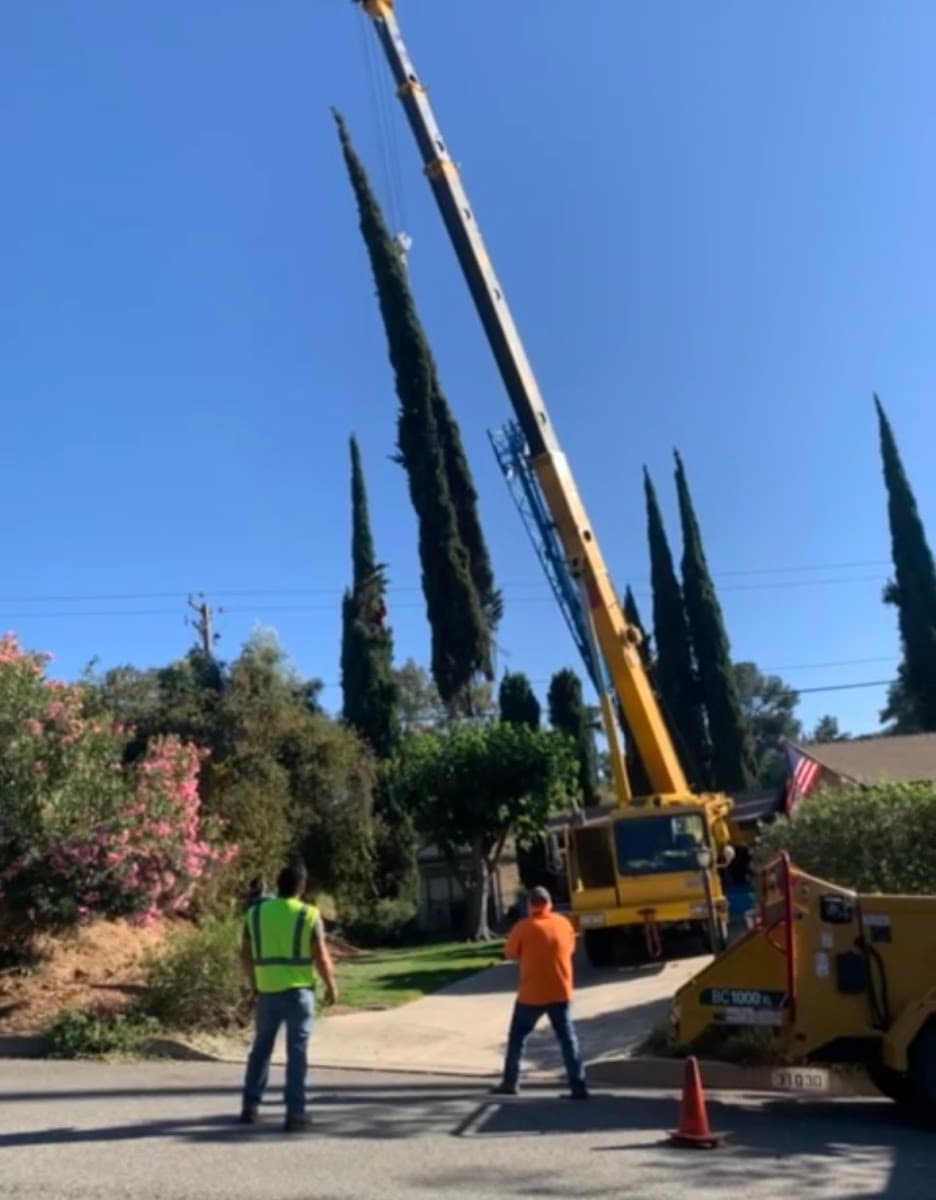 Rivera Tree Service, Inc.