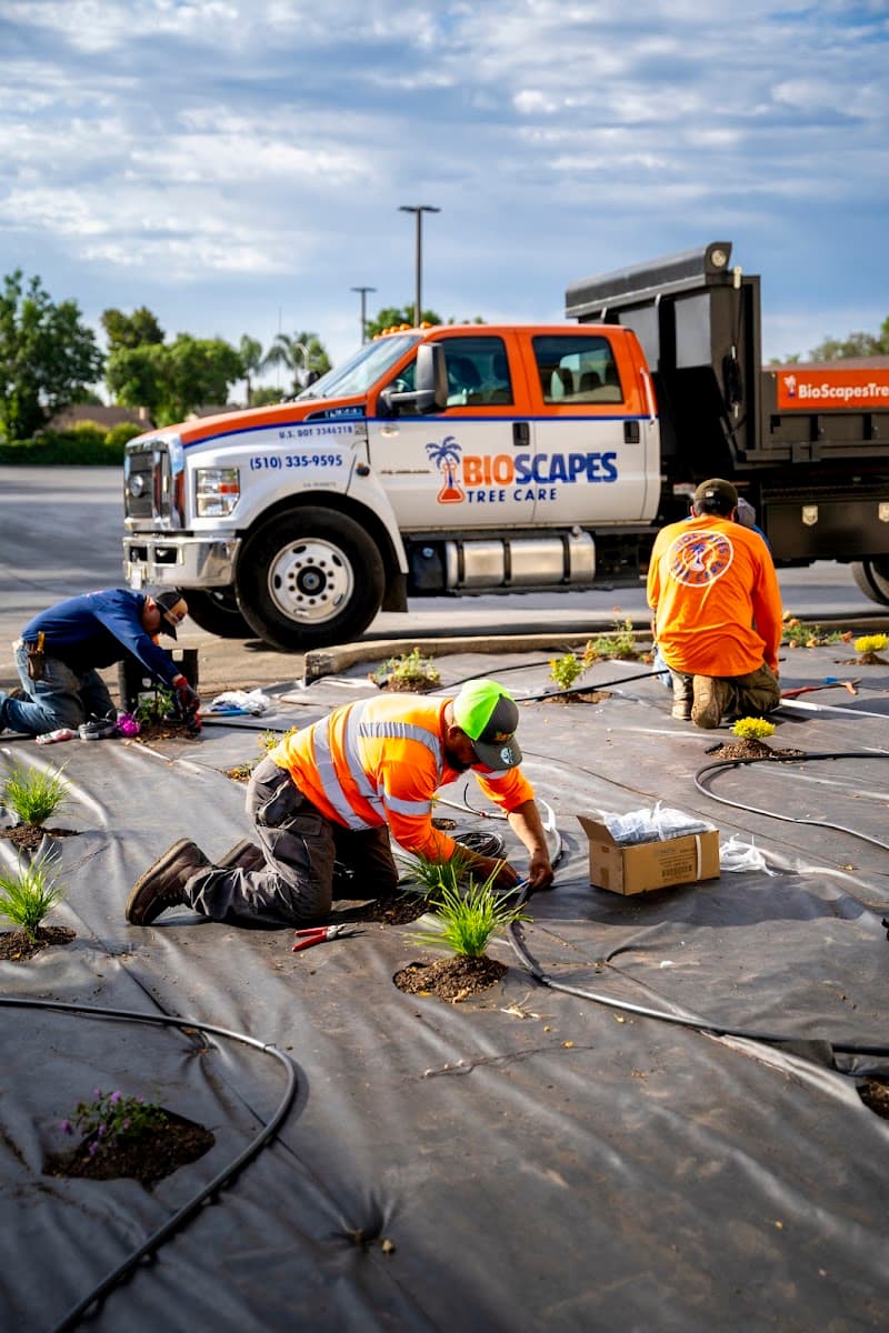BioScapes Tree Care Inc