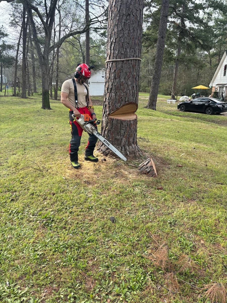 AMAYA TREE SERVICE, LLC