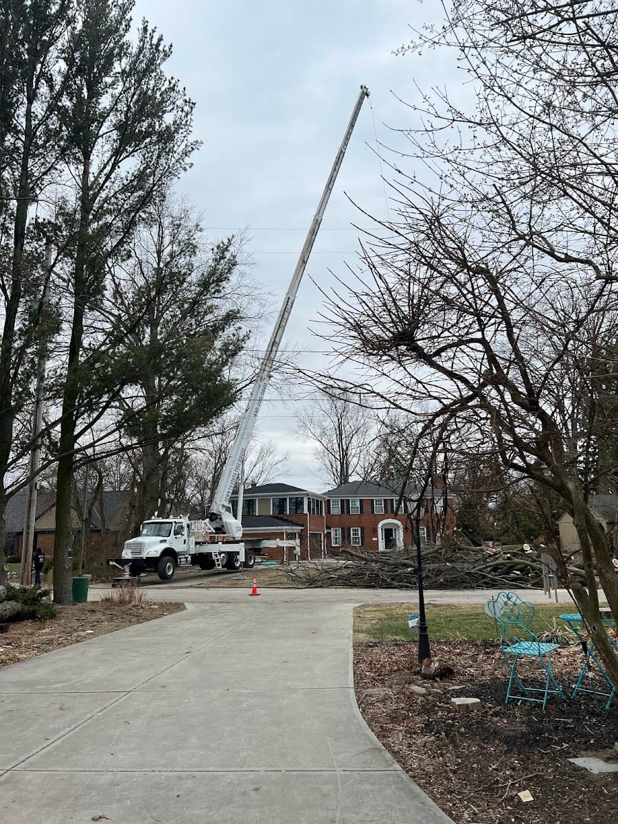 Down To Earth Tree Service