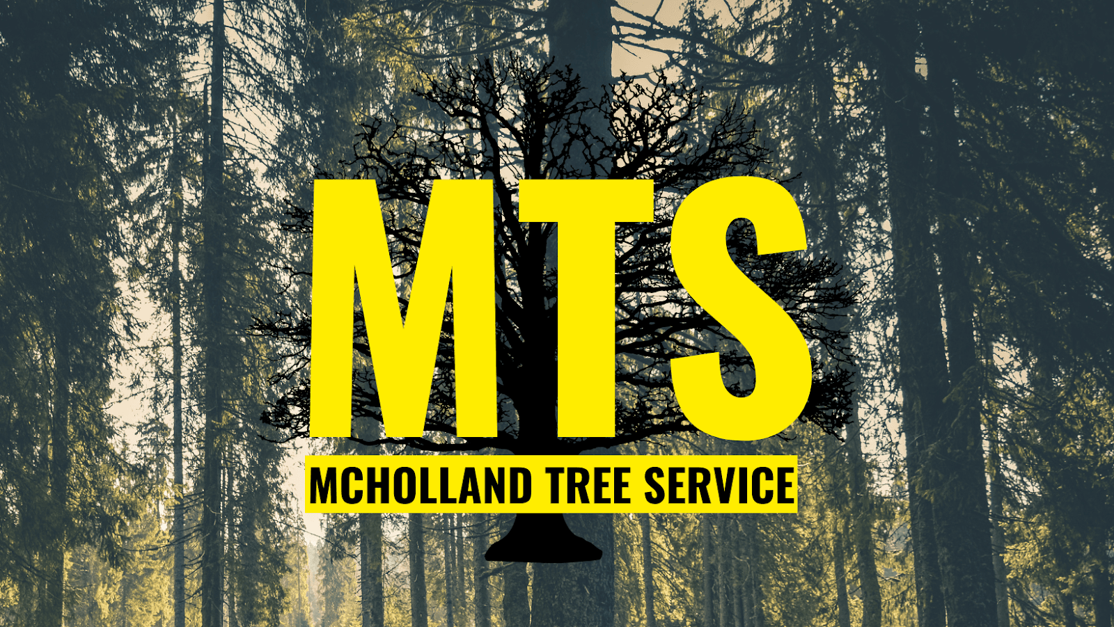 MTS | McHolland Tree Service LLC