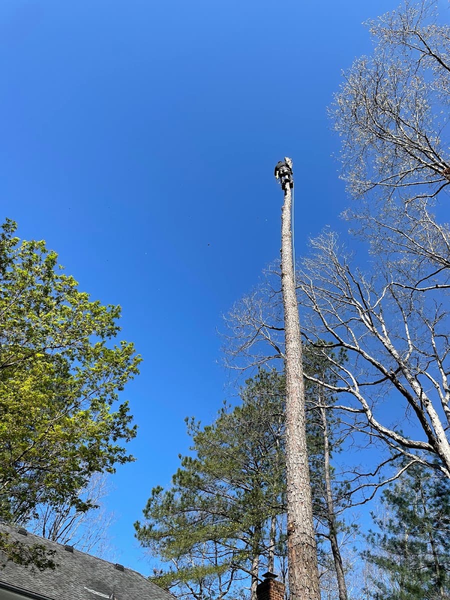 Taylor’s Tree Service and Landscaping