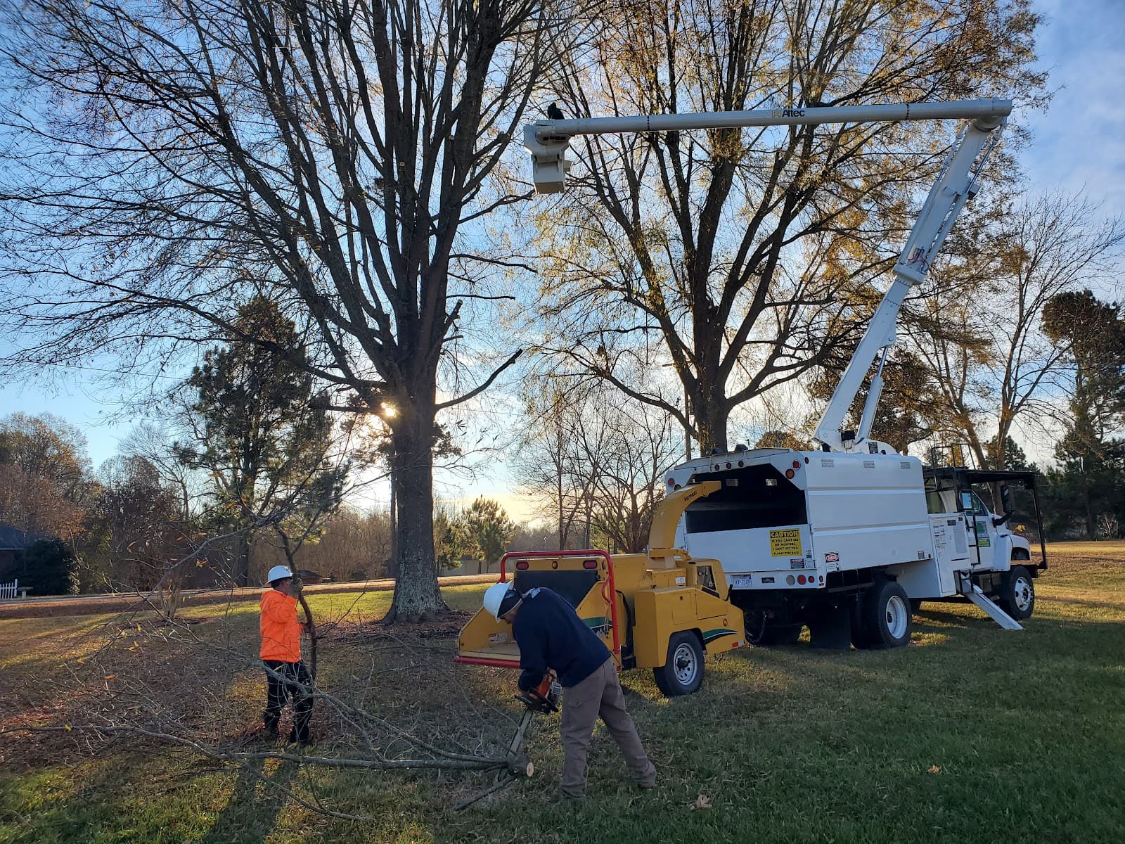 Teo Tree service