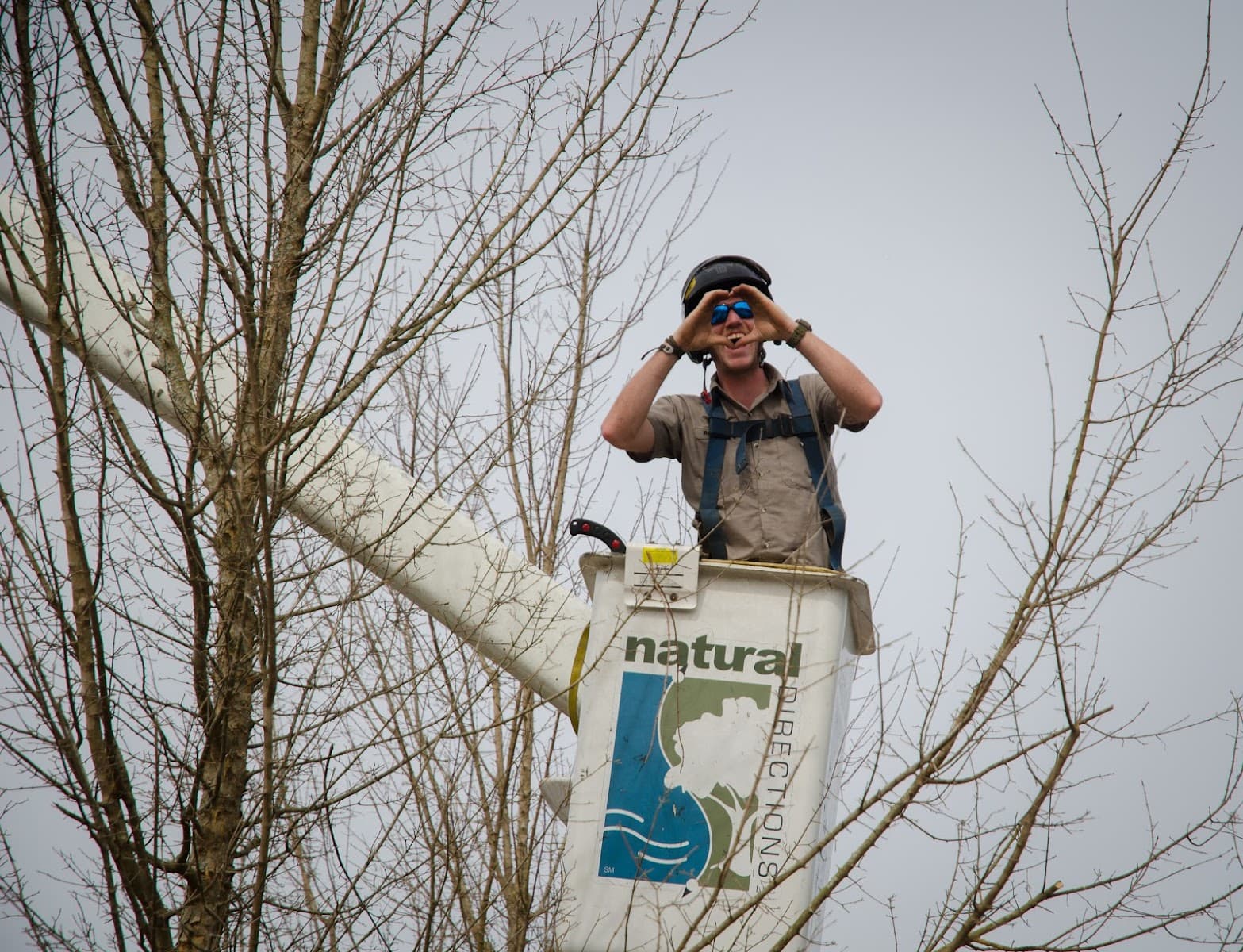 Natural Directions LLC