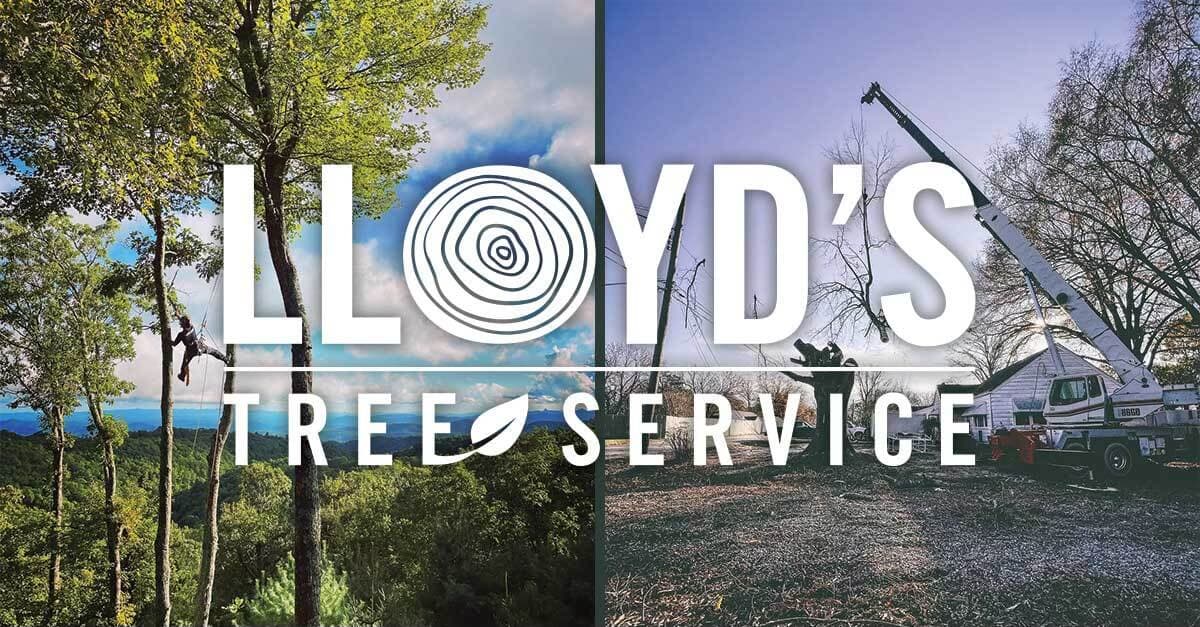 Lloyd's Tree Service