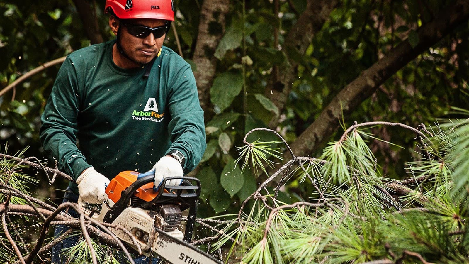 ArborForce Tree Services