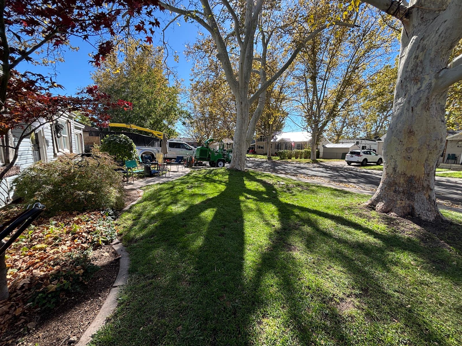 Ellison Tree Company