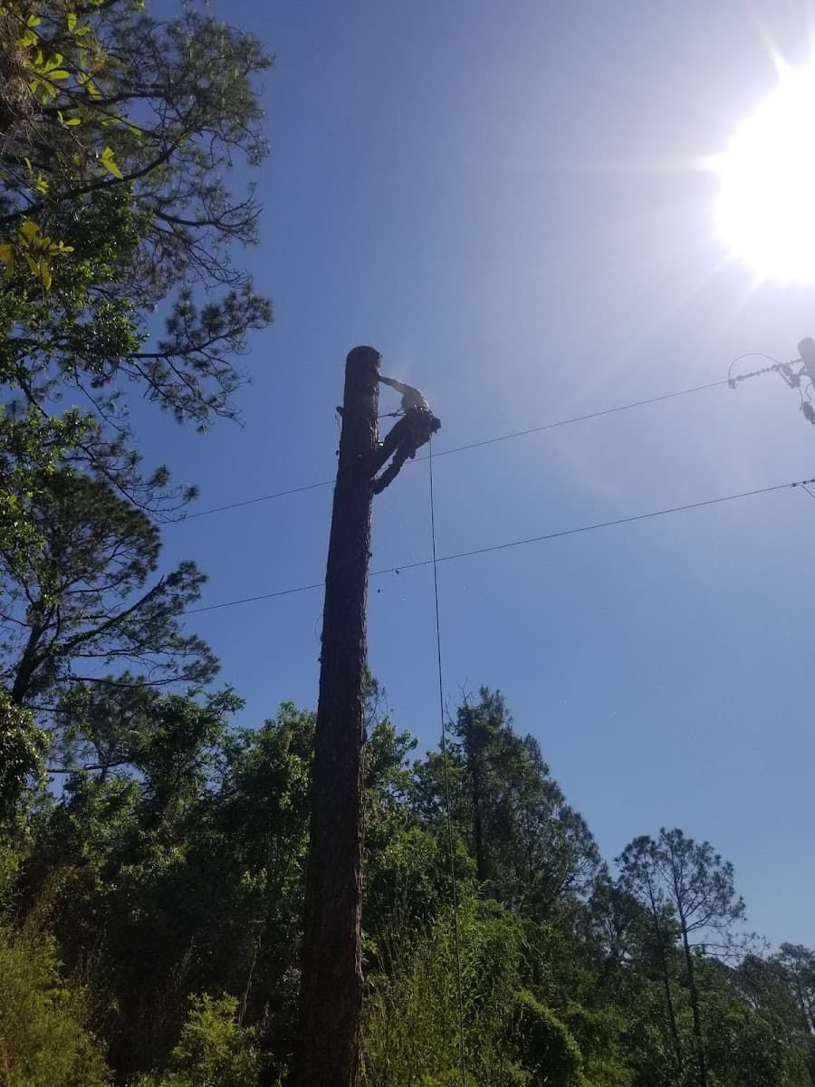 Stewart’s Tree Professional