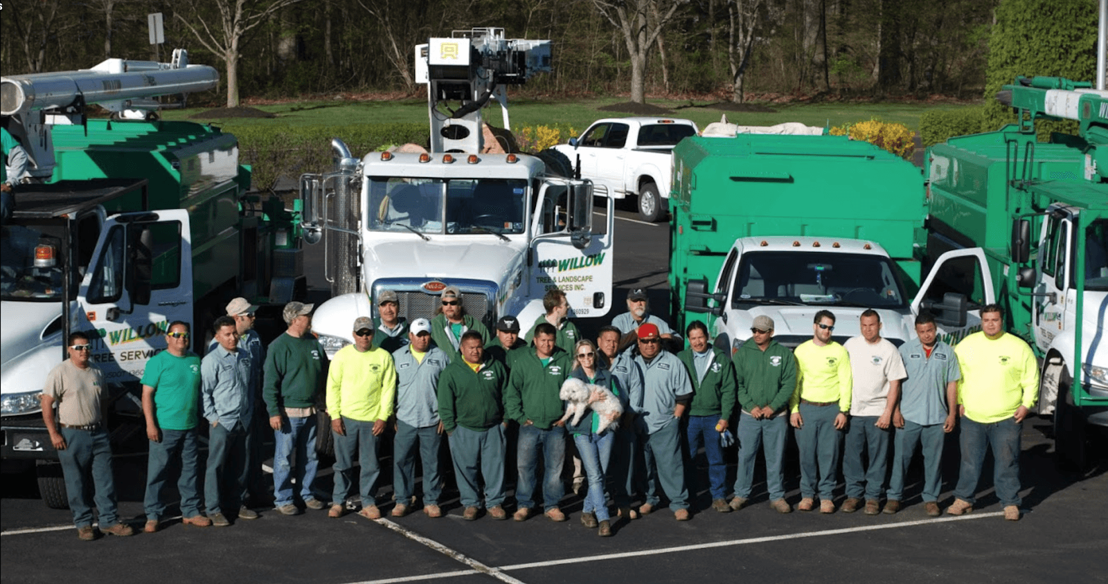 Willow Tree & Landscaping Services