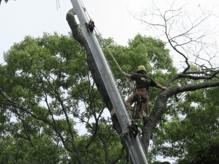 Clovis Outdoor Services