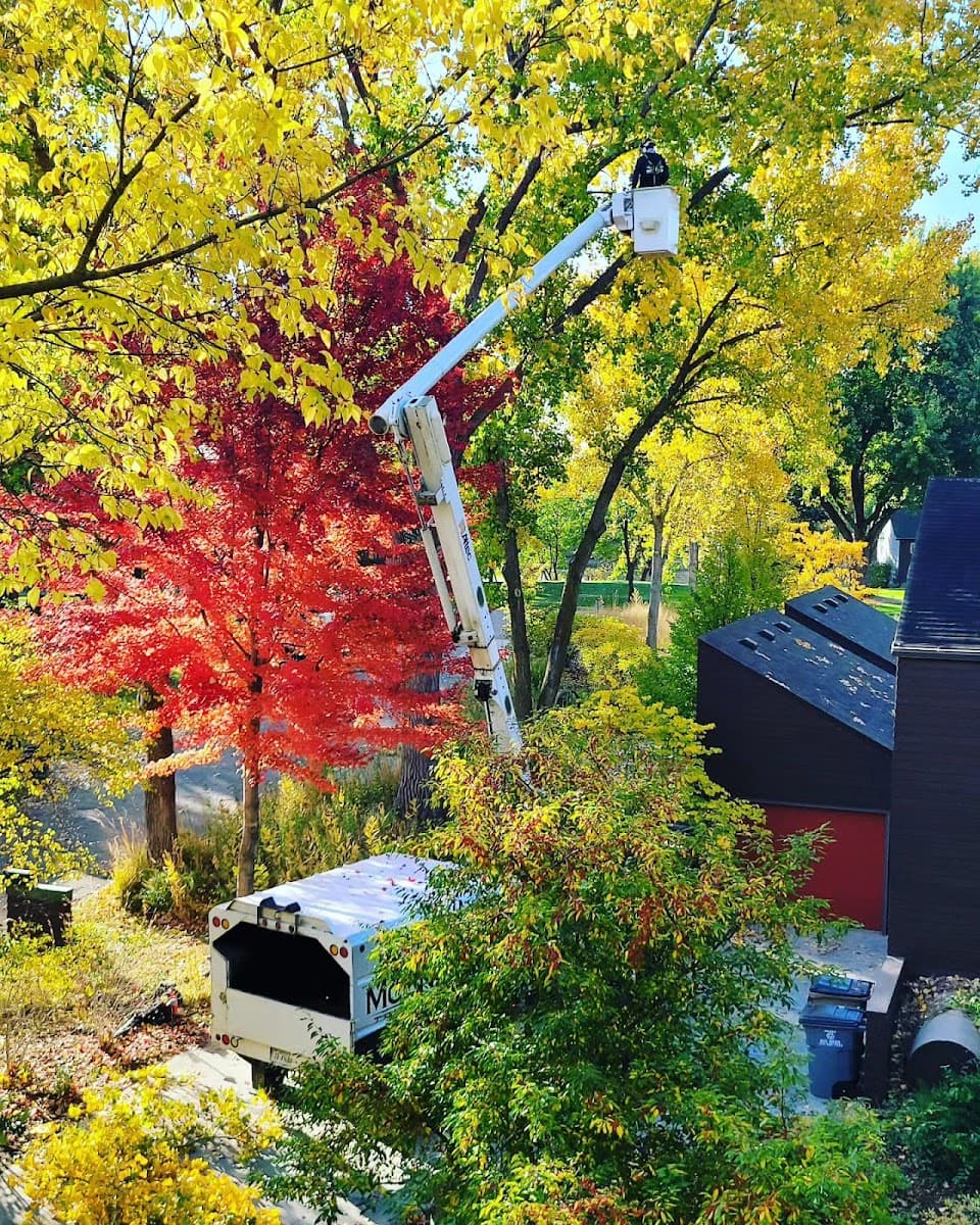 McEndarfer Tree Service