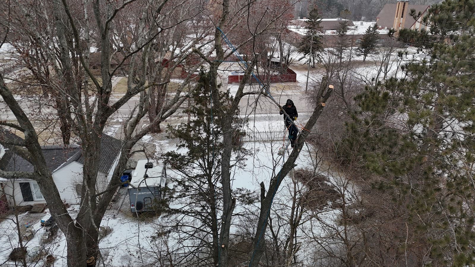 Anderson Tree Care LLC