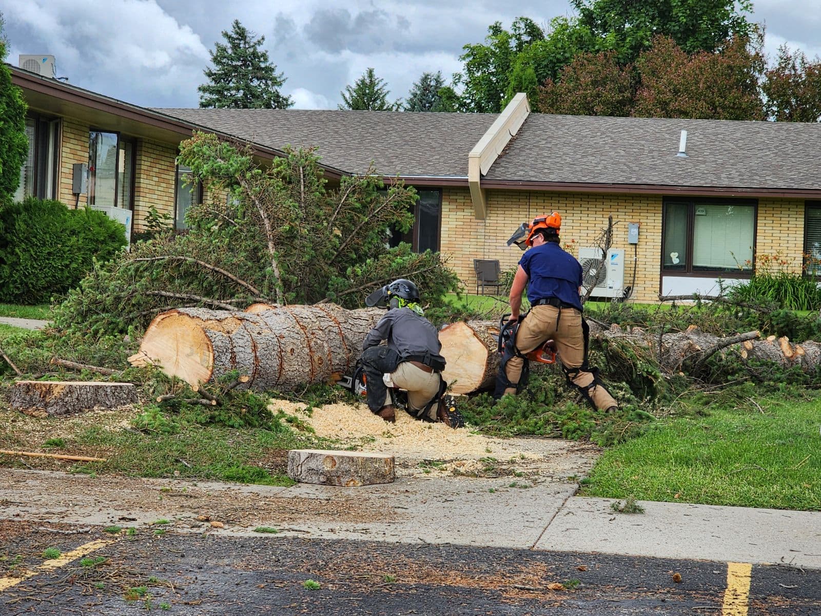 For-Evergreen Ground Maintenance and Tree Services
