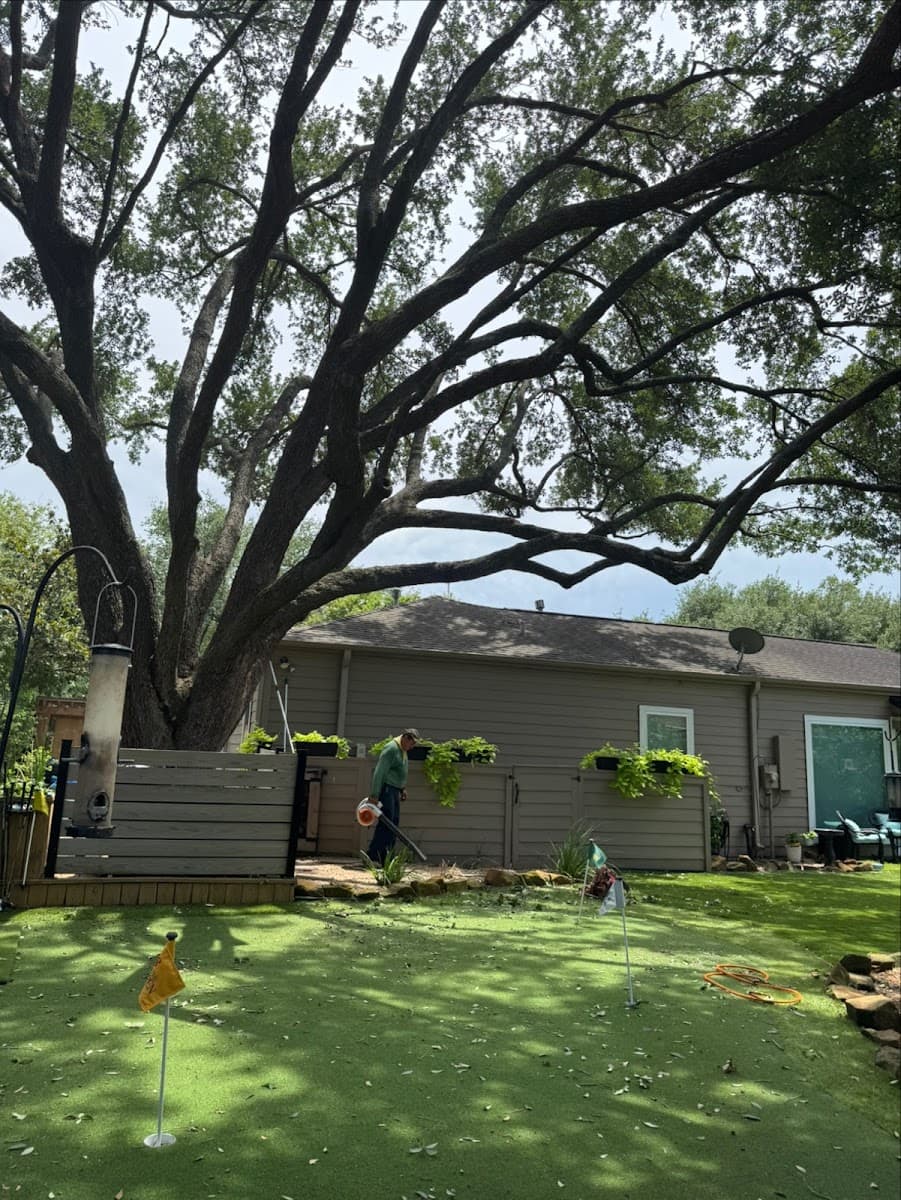 Brother's Tree Service